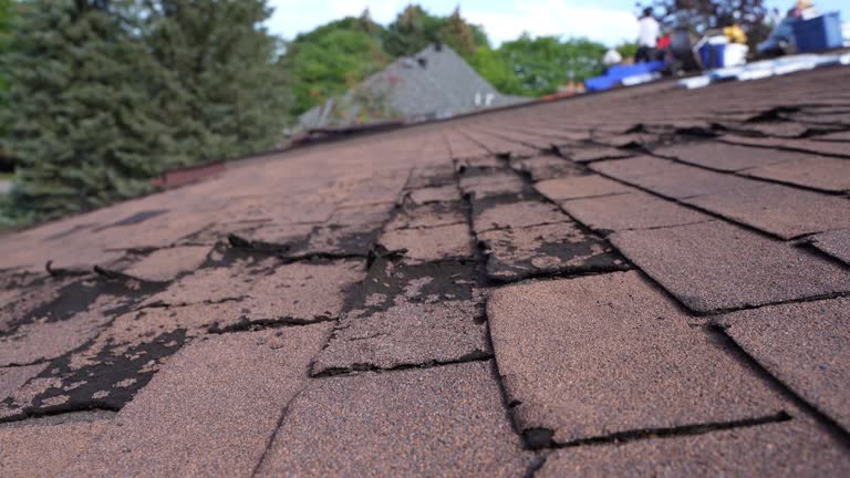 Best Green or Eco-Friendly Roofing Solutions  in Downers Grove, IL