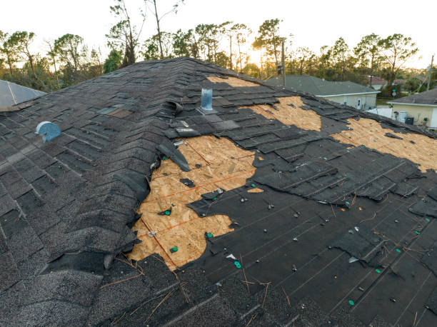 Best Sheet Metal Roofing  in Downers Grove, IL